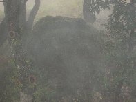 fugio Saletti-20101010 086